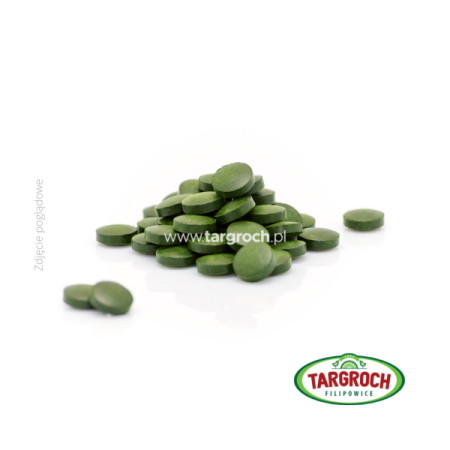 Targroch Spirulina Tabletki 250 Mg