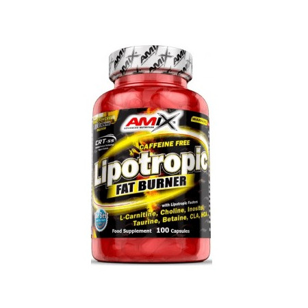 Amix lipotropic fat burner 200 kaps.