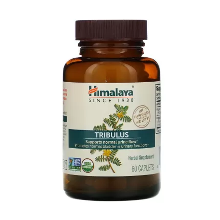 Himalaya Tribulus 60 kapl.